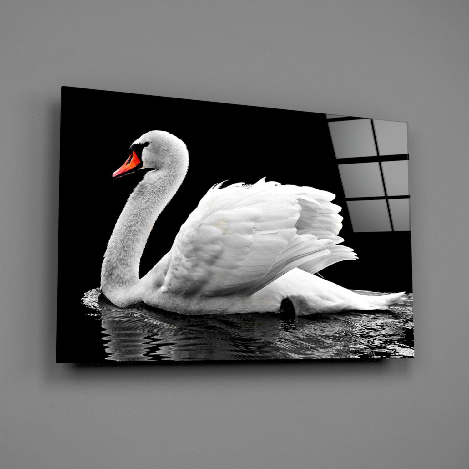 White Swan Black Water Reflection Glass Wall Art