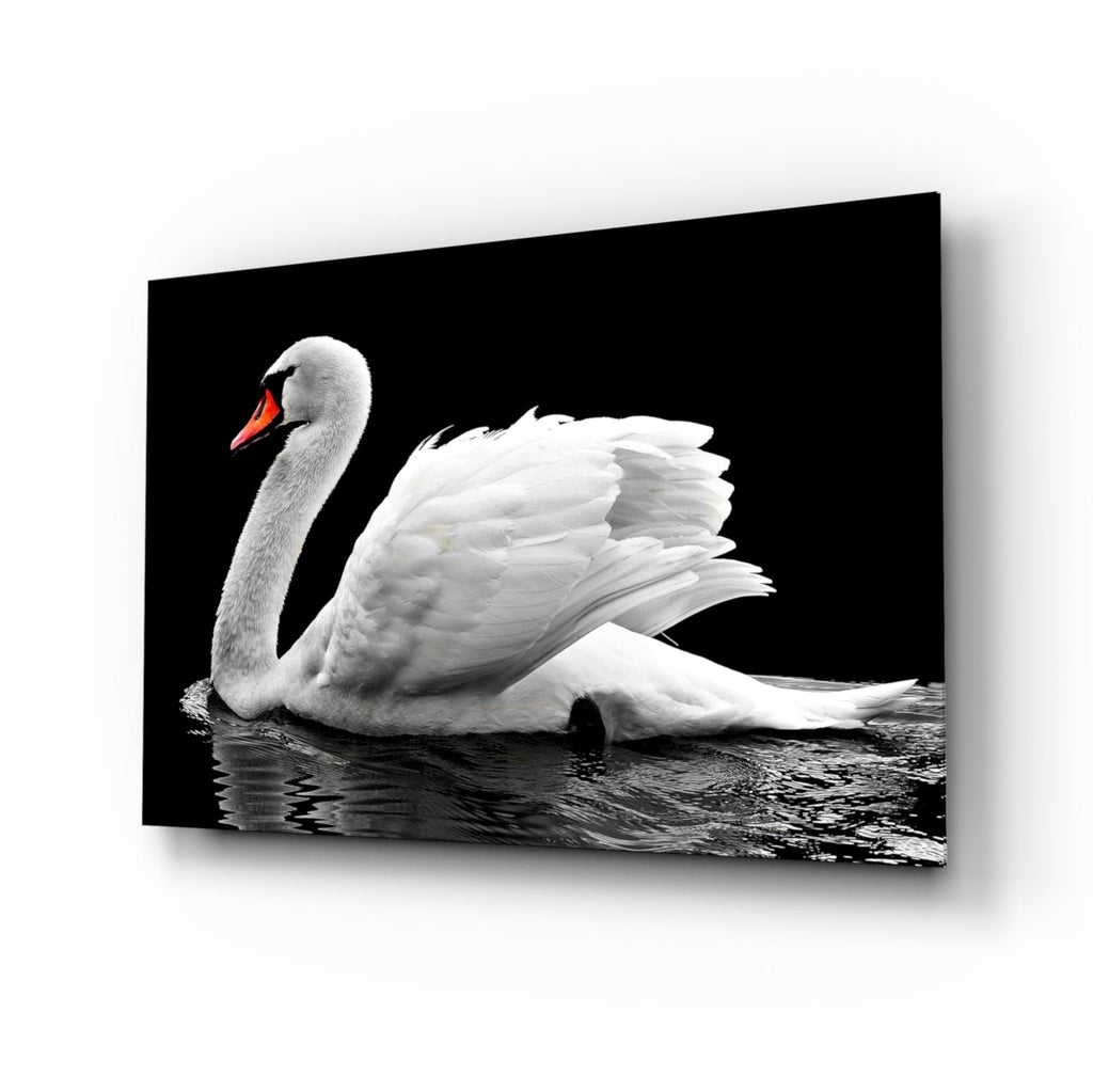 White Swan Black Water Reflection Glass Wall Art