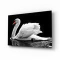 White Swan Black Water Reflection Glass Wall Art