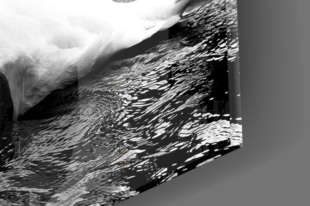 White Swan Black Water Reflection Glass Wall Art